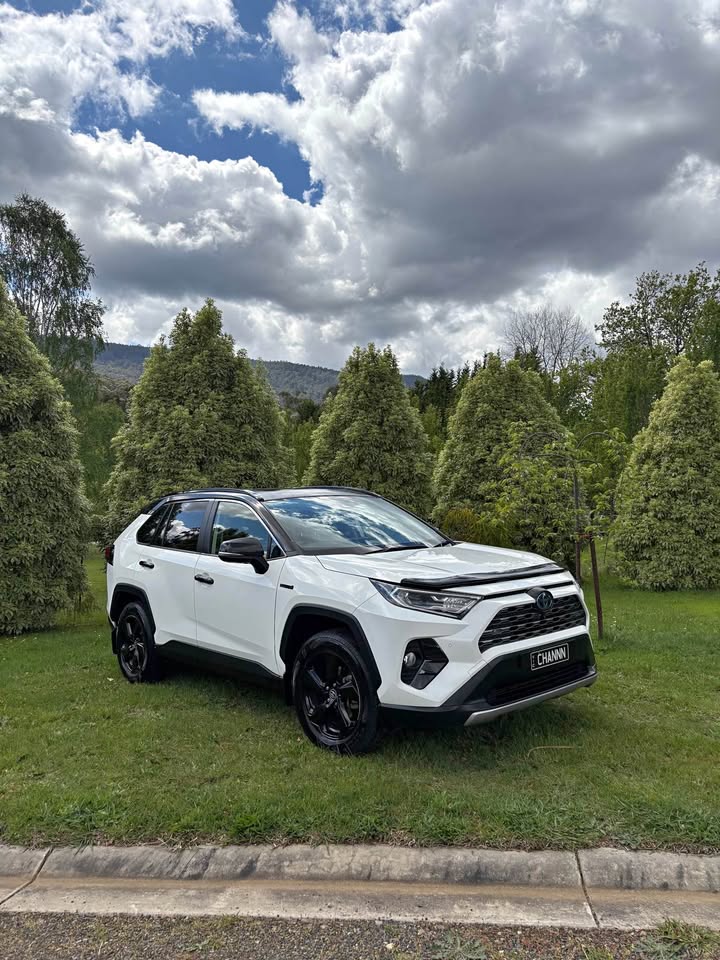 2020 Toyota RAV4 photo 1
