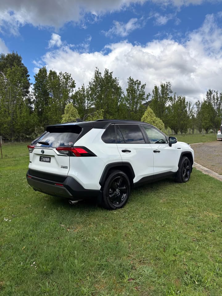 2020 Toyota RAV4 photo 2